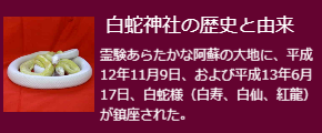 白蛇神社の歴史と由来