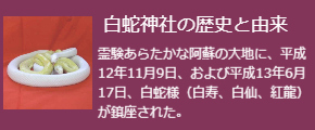 白蛇神社の歴史と由来